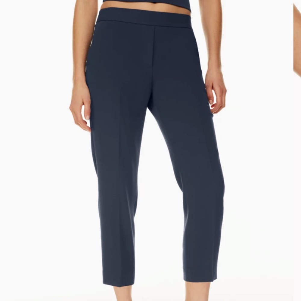 Aritzia Babaton Conan Crop